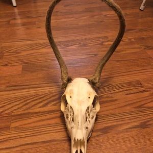 Meet your Posher, Randall